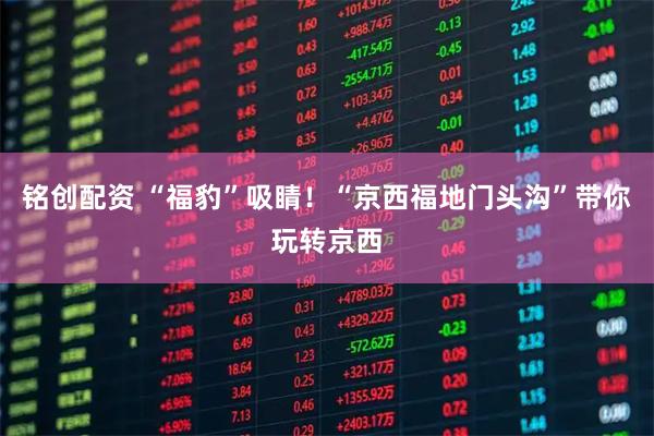 铭创配资 “福豹”吸睛！“京西福地门头沟”带你玩转京西