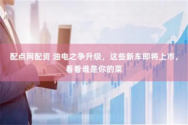 配点网配资 油电之争升级，这些新车即将上市，看看谁是你的菜