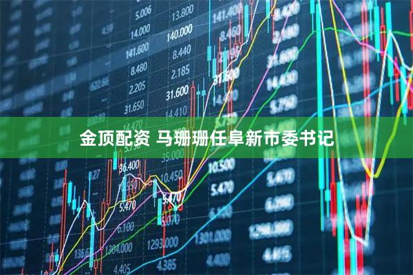 金顶配资 马珊珊任阜新市委书记